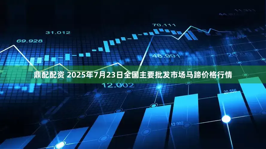 鼎配配资 2025年7月23日全国主要批发市场马蹄价格行情