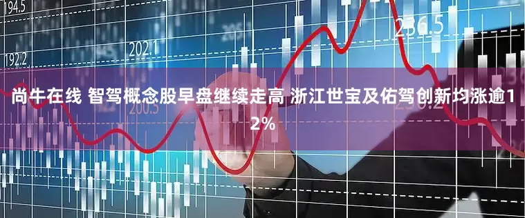 尚牛在线 智驾概念股早盘继续走高 浙江世宝及佑驾创新均涨逾12%