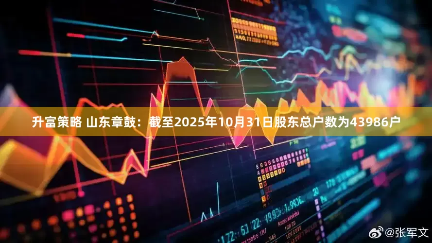 升富策略 山东章鼓：截至2025年10月31日股东总户数为43986户